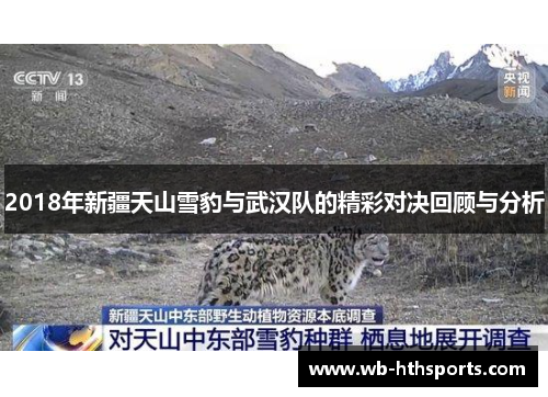 2018年新疆天山雪豹与武汉队的精彩对决回顾与分析
